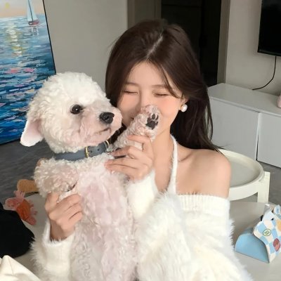 寻找酷巴熊